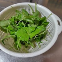 6月になりました
