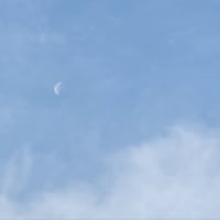 旧暦４月２４日の朝月