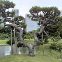 浜離宮恩賜庭園