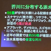 たかつき市民環境大学