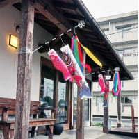 鯉幟の季節