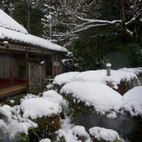 京都の雪景色。四季折々の豊かな表情の庭園「詩仙堂」。すっぽりと雪帽子を被った木々
