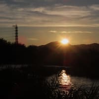 二上山の日の出～下深井堰　石川２　２０２５．７