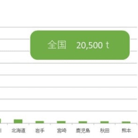 45．にんにく　地理総合