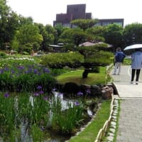 菖蒲園