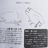 記憶スケッチアカデミー「カエル」