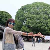菖蒲　英語