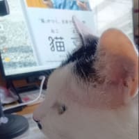 蛇足ですが…