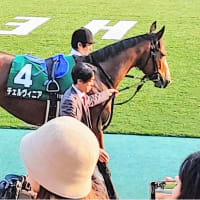 👑🐴オークス　2024