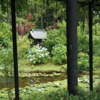 にしさんの花日記　千葉県　本土寺　花のお寺です