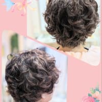 春なのに大変ご無沙汰してます　