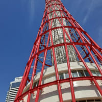 神戸ポートタワーがリニューアルオープン‼️