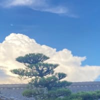 栄養補給でした