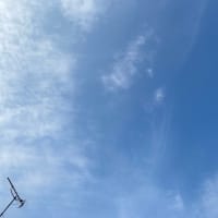 2025年07月07日