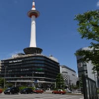 5月の京都旅　⑬　2024