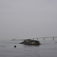 待ち望んだこと 東京湾の漁師 東京湾海人の日記