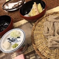 夏の自然菜園体験ツアー【食農イベント】