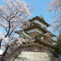 高島城公園の桜2020（七分咲き）