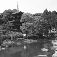 瑠璃光寺