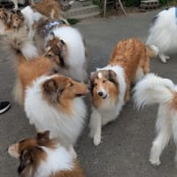 エリーキッズ＆リリーキッズ　お誕生会