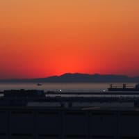 孫が突然に