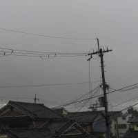 突然の雨２０２５．６