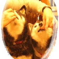 H27年　忘年会♪