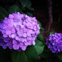 神のみぞ知る...的な。