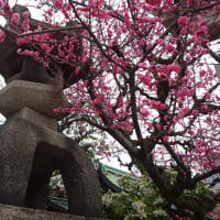 「2025年も管大臣社...」