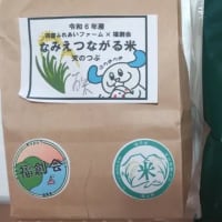 ２週つづけて学祭、農大はさすがにすごい人