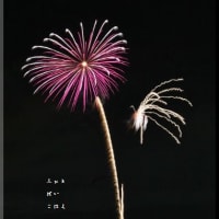 和歌山みなと祭り花火大会　２０１３　２１１