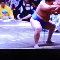 5/24 大の里　　全勝
