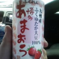 博多あまおう豆乳飲料