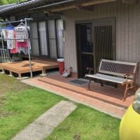 虫と喫煙所。