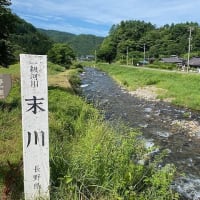バイクや車の往来多いです