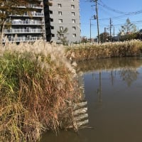 ポカポカや〜