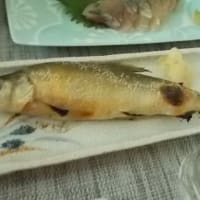一ノ蔵 純米吟醸
