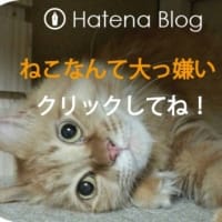 はてなブログでアタフタ