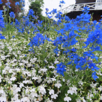 公園散歩　アンデルセン公園