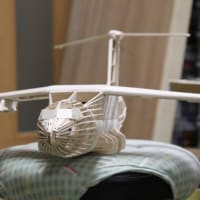 またまた新たな空気が……