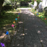 西教寺のかざぐるま展♪
