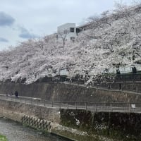 新緑の季節に・・・・🌳🌳