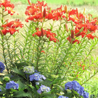 【隠居の朝の一言　目先の金にとらわれず　07/05】