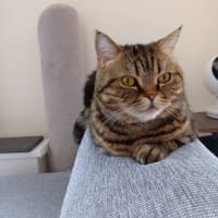 お出かけするには良い季節