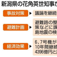 柏崎刈羽原発再稼働への地元同意の是非を判断するのに当たり、新潟県の花角英世知事は、判断材料として主に「経済効果」「事故対策」「避難計画」の三つの論点を挙げる。