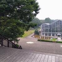 久しぶりの相模原公園