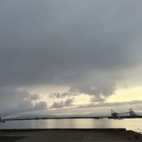 鯵釣り