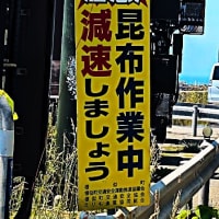 襟裳岬に行ってきました
