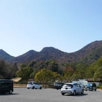 相次ぐ山林火災・・