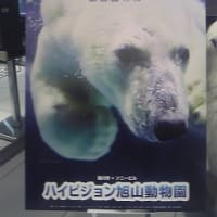ハイビジョン旭山動物園